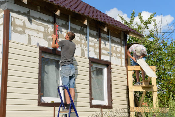 Best Vinyl Siding Installation  in Holly Hill, SC